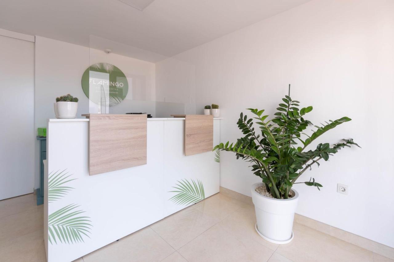 Apartamentos Flamingo Puerto del Carmen  Ngoại thất bức ảnh